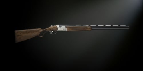 Shotguns.jpg