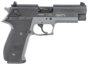 GSG GERG2210FFS FireFly 22 LR 10+1 4" Black Serrated Slide, Smoke Zinc Alloy w/Accessory Rail Frame, Black Polymer Grip