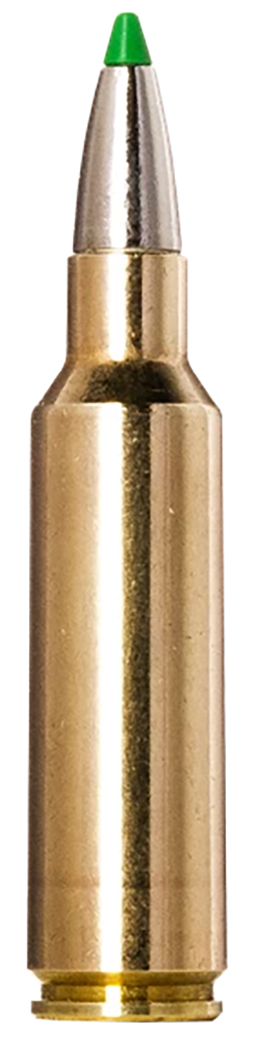 Norma Ammunition 20177512 Ecostrike 300WSM 165gr 20 Per Box/10 Case