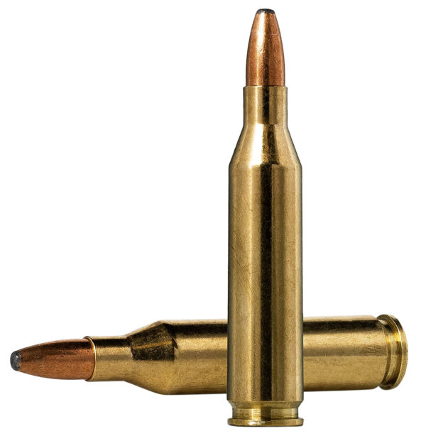 Norma Oryx .243 Winchester 100gr, 20-Round Box