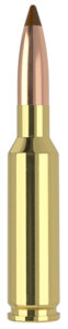 Nosler 61053 6.5x55Swedish 140gr Ballistic Tip 20 Per Box/10 Case