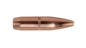 Sierra GameKing Bullets, .30 Caliber, 205 gr, 500
