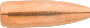 Sierra GameKing .22 Cal 55gr Hollow Point Boat Tail Bullets