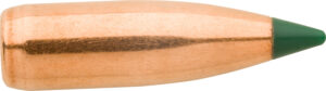 Sierra BlitzKing .224 inch 55gr Spitzer BT Bullets 100ct