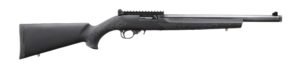 RUGER 10/22 CARBINE 22LR BL/HOGUE