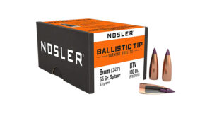 Nosler 6mm 55 gr Ballistic Tip Varmint Bullet