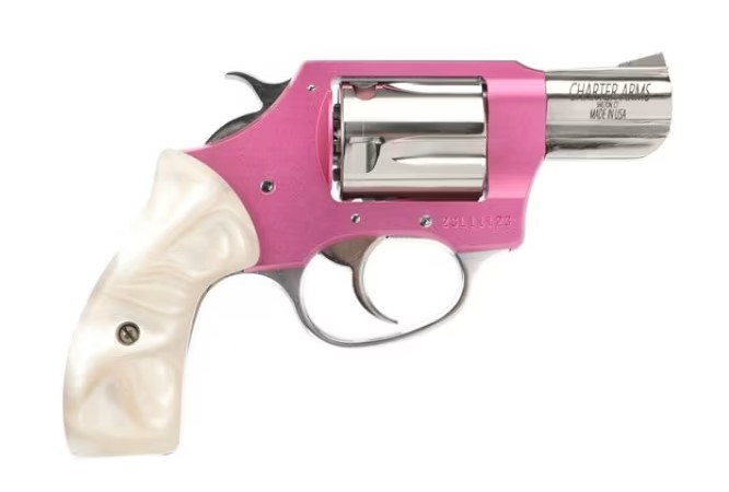 Charter Arms Chic Lady Revolver, .38 Special, 2-Inch Barrel, High Polished Stainless, 5-Shot