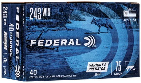 FED AMERICAN EAGLE V&P 243WIN 75GR JHP 40/5