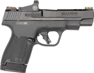 S&W PC M&P9 SHLD PLUS 9MM 4" - PORTED FIBER OPTICS W/RED DOT - additional view