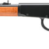 ROSSI RIO BRAVO 22LR LEVER - 18" 15-SHOT BLACK WOOD - additional view
