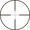 BSA SWEET-17 6-18X40MM AO-SIDE - DUAL-X BLACK MATTE - additional view