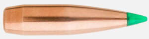 Sierra Tipped GameKing .30 Caliber 210gr Bullets, 50-Count