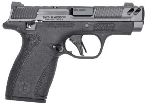 S&W BODYGRD 2.0 PC 14417 380 3.1 10/12R GRY/BLK TS