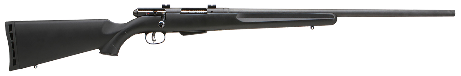 Savage 25 Walking Varminter Rifle, .222 Remington, 22-Inch, Right-Hand, 4-Round