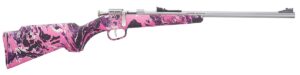HENRY REPEATING ARMS H5 MINI BOLT G2 22LR SS/MUDDY