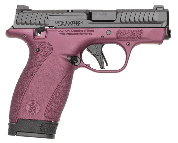 S&W Bodyguard 2.0 Pistol, .380 ACP, 2.75-Inch Barrel, Black, 10-Round