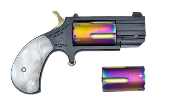 NAA THE UGLY 22LR/22MAG 5 SHOT 1 IN BARREL