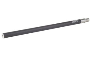 ANGAAVIS22P02 1
