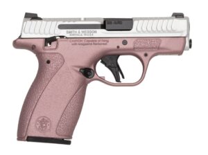 SMITH & WESSON BODYGUARD 2.0 380 ACP 2.75IN BARREL 10RD BLUSH/SILVER TS COMPLIANT 14779