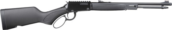 HEN X MODEL LVR 22WMR