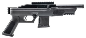 ROSSI RS22P 22LR 6 BLACK 10RD