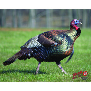DuraMesh Archery Target Turkey 25 in. x 32 in.