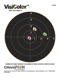 Champion Targets 45824 VisiColor Bullseye Paper Hanging Pistol/Rifle 8.50" x 11" Multi-Color Includes Pasters 10 Pack