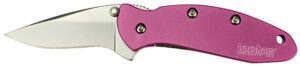 Kershaw Chive Pink 1.9-Inch Folding Knife