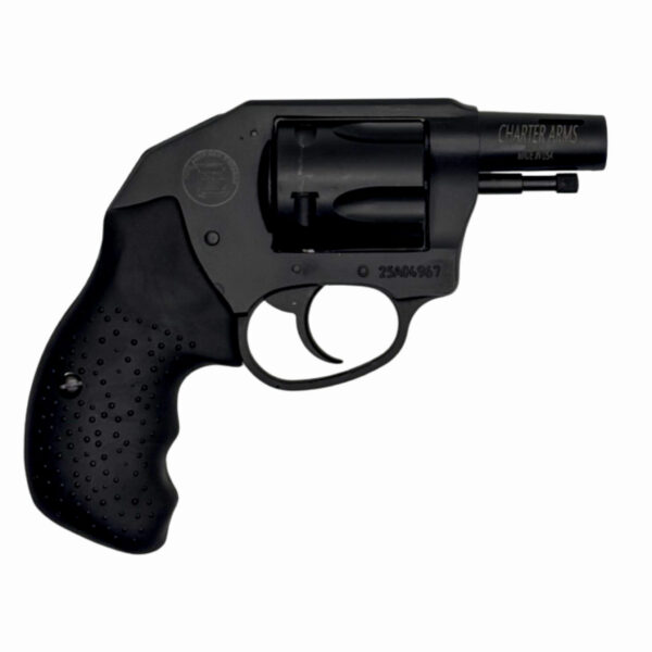 Charter Arms Boomer Revolver, 9mm, 2-Inch, Black, 5-Shot