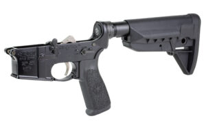 BCM CMPLT LWR RMS SPMD 0 WB BLK BLEM - additional view