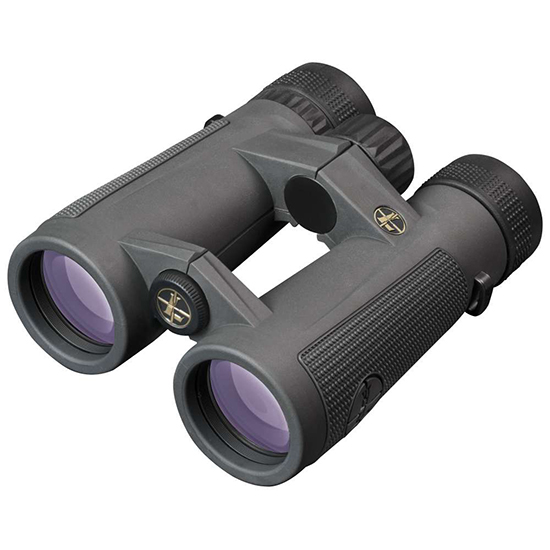 Leupold BX-5 Santiam HD 10x50mm binocular in Shadow Gray