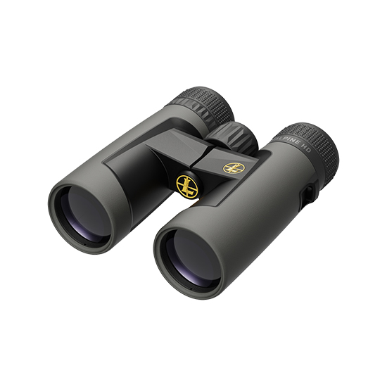 Leupold BX-2 Alpine HD 10x42mm binoculars in Shadow Gray, angled view