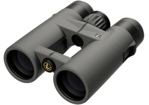 Leupold BX-4 Pro Guide HD Gen 2 10x42 binoculars in shadow gray