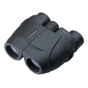 Leupold BX-1 Rogue 10x25mm compact black Porro prism binoculars