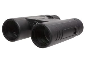 SIG SAUER BUCKMASTERS BINO 10X42 BLK