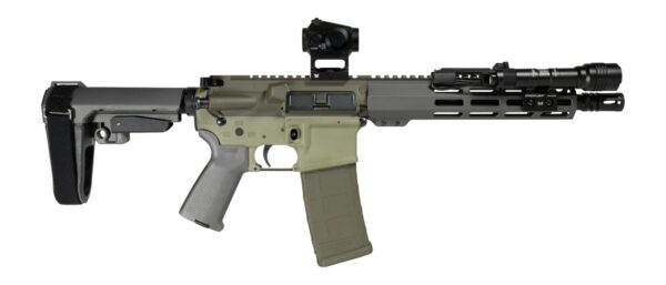 Shark Coast Tactical SCC06872BUGBR300P Bug Bear Bundle 300 Blackout 30+1 10" Threaded Barrel, Aluminum Receiver w/Picatinny Rail, M-LOK Handguard, Polymer SB Tactical SBA3 Brace, Streamlight ProTac Ra