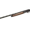 CZ 720 G3 3" 20GA 28" 4RD WALNUT BLK - additional view