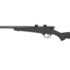 SAV RASCAL 22LR FV-SR 16.125" BLK