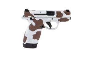 Smith & Wesson Bodyguard 2.0 Pistol, .380 ACP, 12-Round - view 2