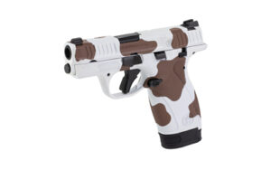 Smith & Wesson Bodyguard 2.0 Pistol, .380 ACP, 12-Round - view 3