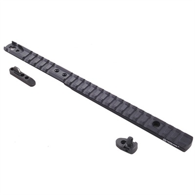 MARLIN 1895 LEVER RAIL SIGHT SYSTEM