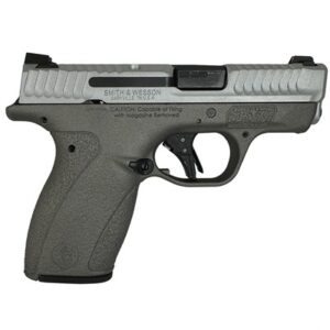 BODYGUARD 2.0 380ACP (1)10&(1)12 MAGS NTS SATIN GUN METAL
