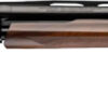 WINCHESTER SXP HG UPLAND FIELD - 12GA 3" 28"VR BLUED WALNUT