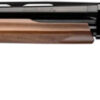 WINCHESTER SXP HG UPLAND FIELD - 12GA 3" 28"VR BLUED WALNUT - additional view