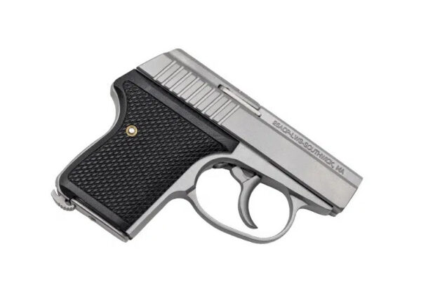 L.W. Seecamp .380 ACP Micro Pistol, 2-inch, Matte Grey, 6-Round