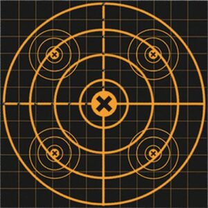Birchwood Casey Big Burst Revealing Targets Sight-In 12" 3/ct