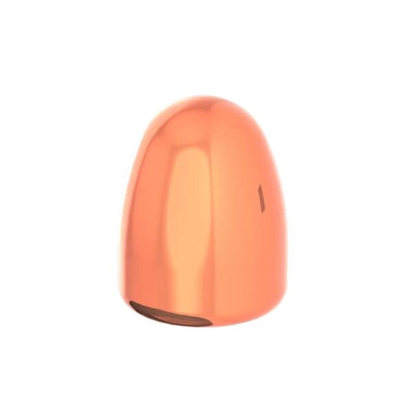 Accura Outdoors .45 Cal 200gr Round Nose Pistol Bullets, 250-Count