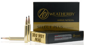 WBY AMMO 300WBY 180GR TGK 20/10