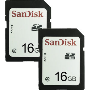 Wildgame Innovations 16GB Class 10 SD Card, 2-Pack