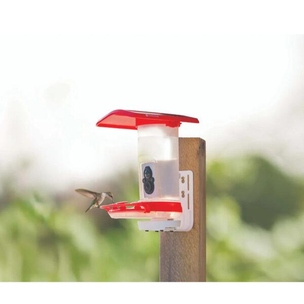 Tactacam FeatherSnap Smart Hummingbird Feeder